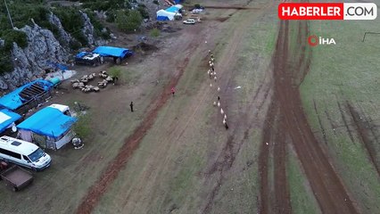 Hayvan Yetiştiricileri Kendi Çobanlıklarını Yapıyor