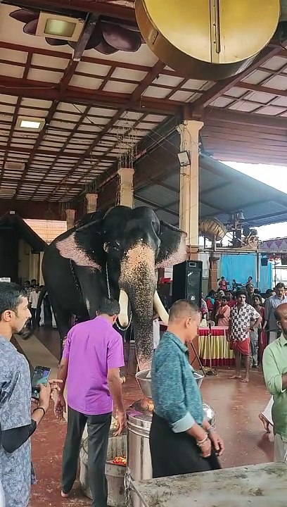 Temple