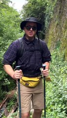 Belek y’a un mal aloha qui rode dans les bois …