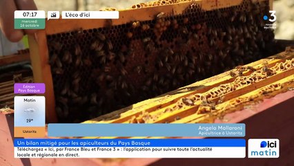Une productrice de miel face à la baisse de sa récolte au Pays basque