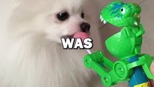 CUTE PUPPY TRICKED BY TOY! #dogowner #dogs #cute