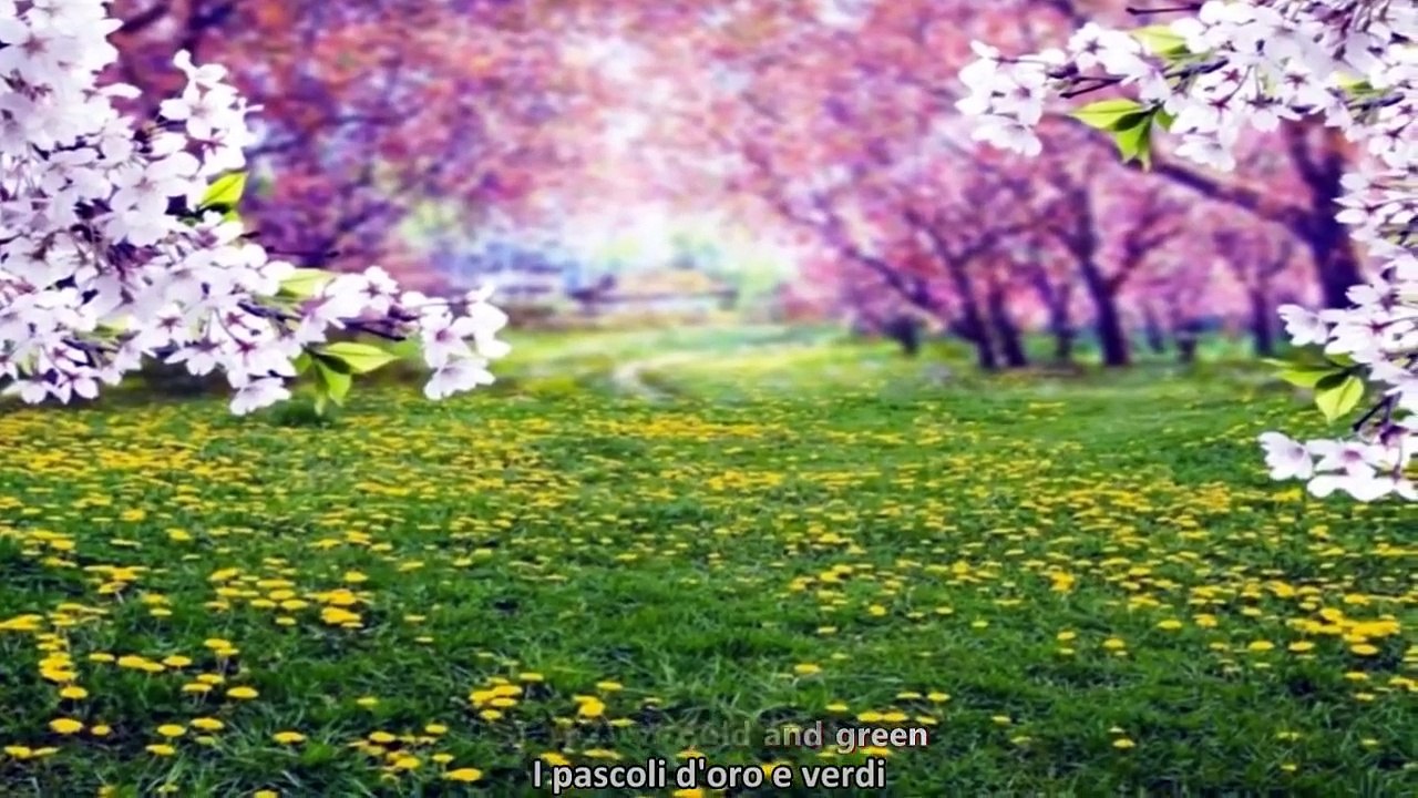 Bruce Springsteen - Across The Border - Lyrics Subita