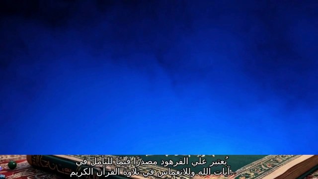 من أجمل التلاوات التي سمعتها في حياتي ❤️ راحة و طمأنينة للقلب قناة علي الفرهود القران الكيم