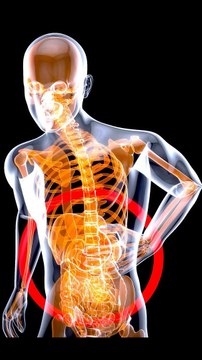 Top 10 Risky Food Combinations to Avoid!