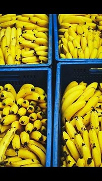 Never Eat These Foods Together!