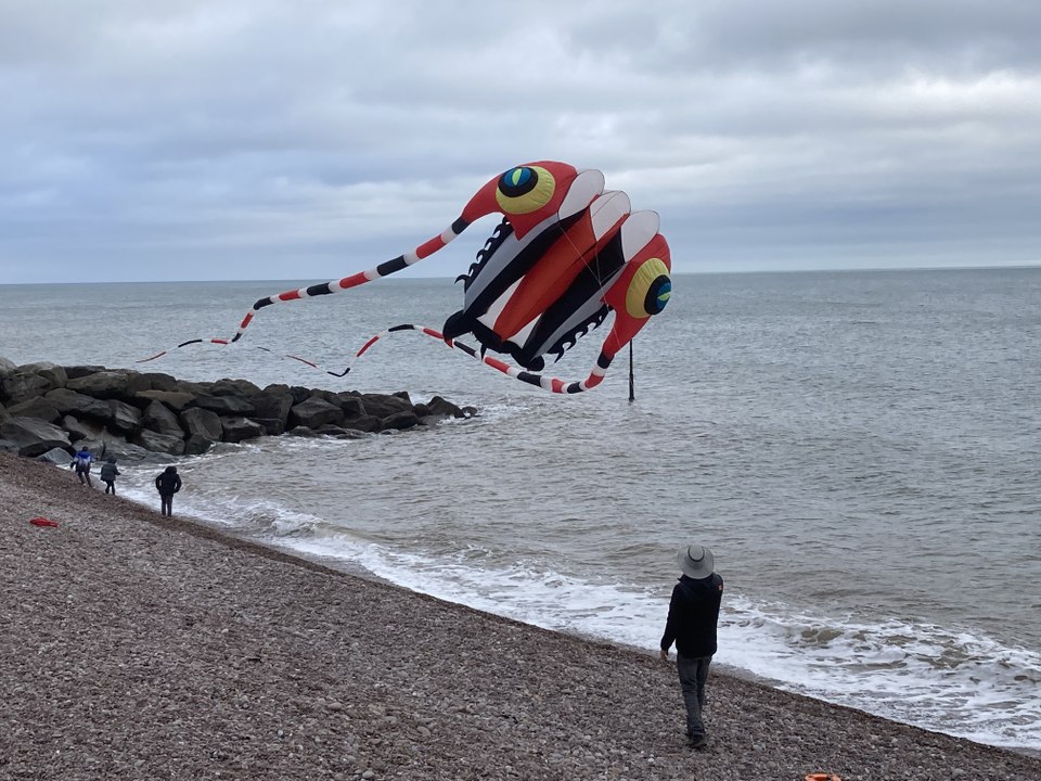 SIDMOUTH COAST