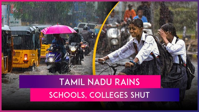 Tamil Nadu Rains: Schools, Colleges Shut Due To Heavy Rainfall In Chennai & Others Areas