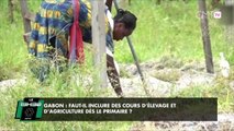 Gabon faut-il inclure des cours d’élevage et d’agriculture dès le primaire