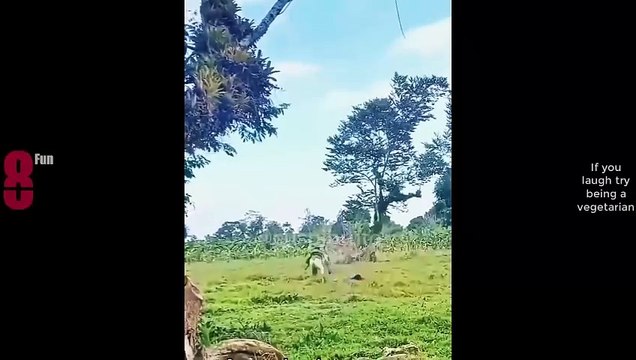 Best Fails Of The Week Funniest Fails Compilation Funny Videos PART 03 #funny #fails #laugh