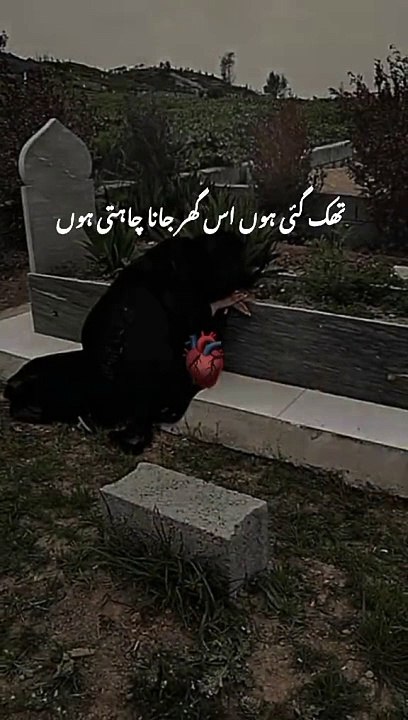 Thak Gay Houn Is Ggar Jana Chahty Houn #tired #boringlife #foryou #sadpoetry #heartbroking #trending