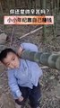 有个儿子就是好.这么小就Chinese children have to earn money from ten living things since childhood!知道帮爸爸背竹子赚钱了！点赞