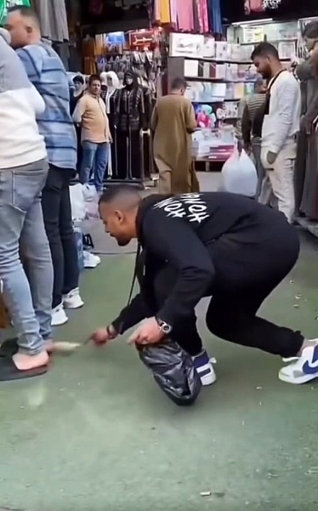 Funny Prink Videos
