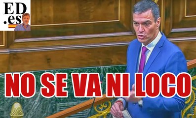 ¿POR QUÉ CREO QUE DA IGUAL QUE SÁNC-HEZ CONOQUE ELECCIONES?
