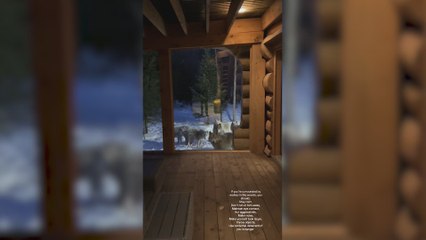 Escucha ruidos en su casa y cuando se levanta para ver que es se encuentra rodeado de lobos