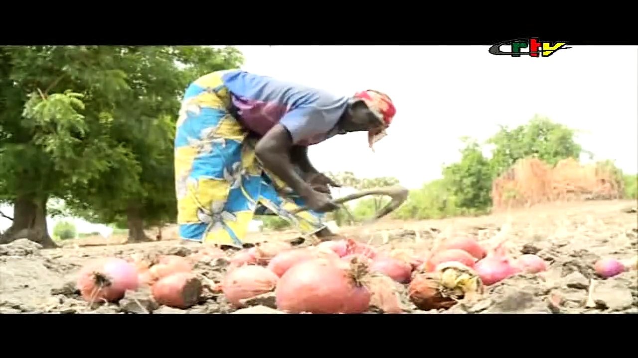 Femmes rurales Mamelles Nourricieres Dans l Extreme-Nord_151024
