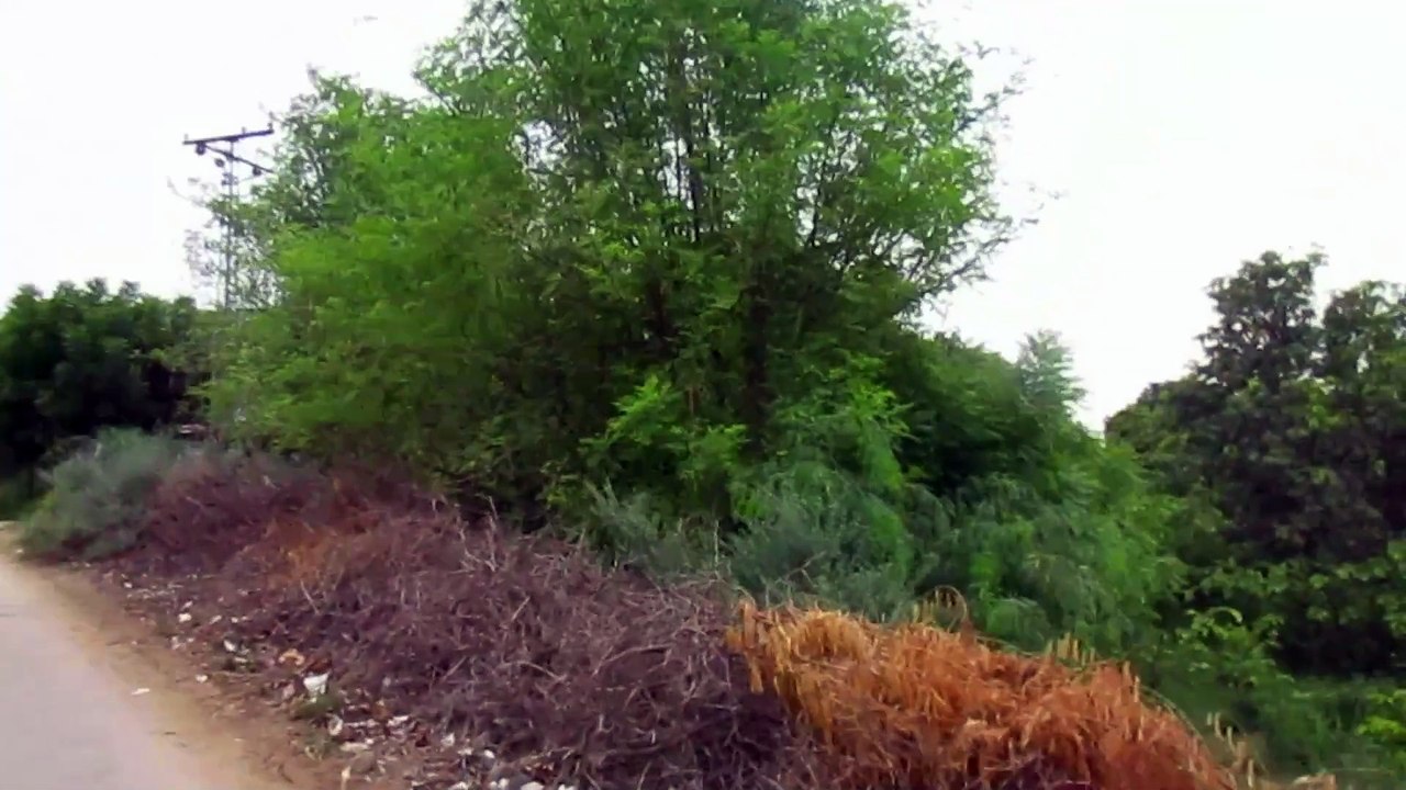 Travel vlog in Hyderabd and Jamshoro || Pakistan Country || side areas part 2 #travelling