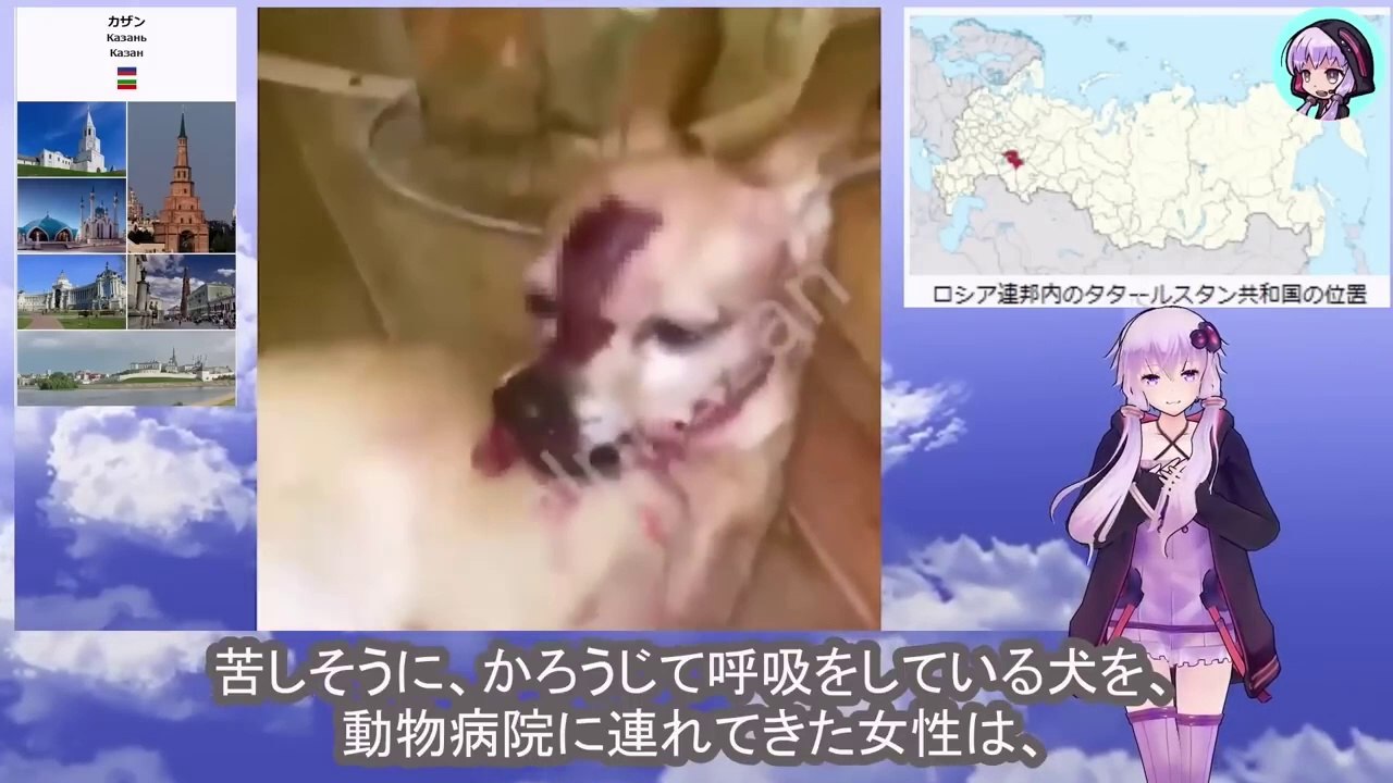 男は罪のない子犬の瞳から永遠に光を奪い去りましたThe man took the light out of the innocent puppy's eyes forever.