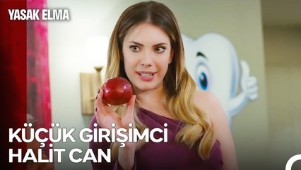 Elma Pürelerimin Geleceği Halit Can - Yasak Elma 72. Bölüm