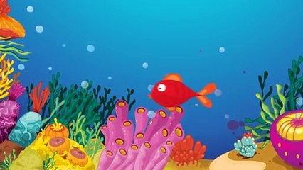 Kırmızı Balık - Çocuk Şarkısı