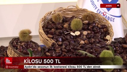 Aydın'da sezonun ilk kestanesi kilosu 500 TL'den alındı