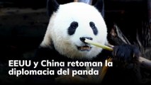 EEUU y China retoman la diplomacia del panda