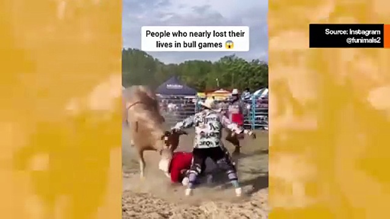 Vaikuttava video näyttää ihmisiä, jotka saavat pahasti nenilleen härkien kanssa