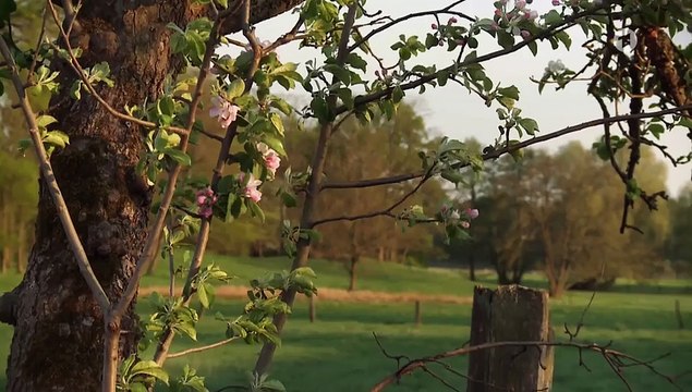 Rote Rosen 4041 folge