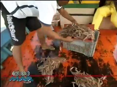 [Chamada de Estreia] Globo Mar - 3°Temporada | Rede Globo (05/04/2012)