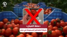 حقيقة الطماطم المسمومة في مصر