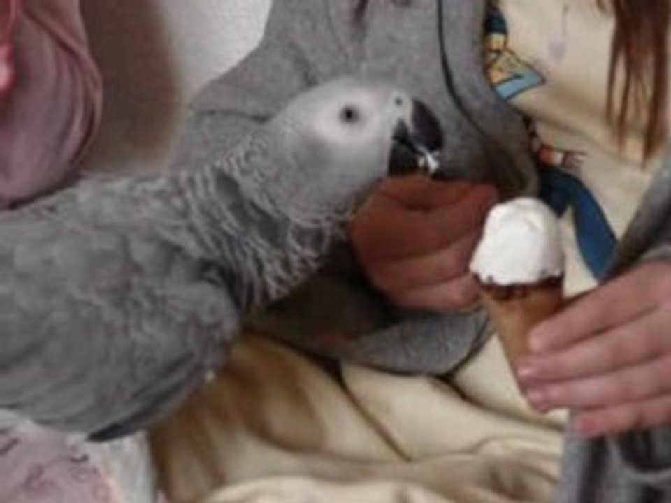 MOV02257