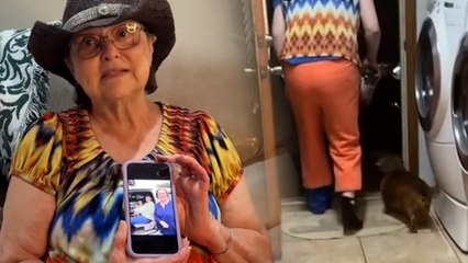 Woman dresses as grandma to get her dog to follow commands - including hat and wig