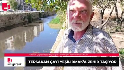 Tersakan Çayı Yeşilırmak’a zehir taşıyor