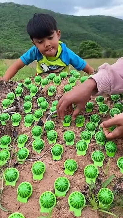 Survival Skills_ SIMPLE and USEFUL #bushcraft #camping #outdoors #shorts #reels #viral (5)