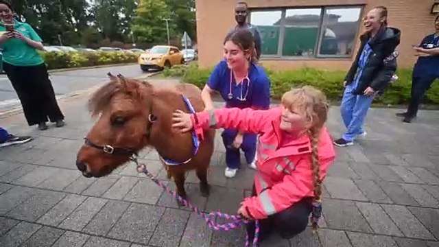 A tiny Shetland Pony visits children at Telford's Princess Royal Hospital.