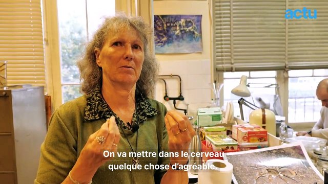 ️Peur des araignées : j'ai testé une séance de désensibilisation