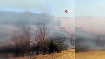 8 hektar alan küle döndü