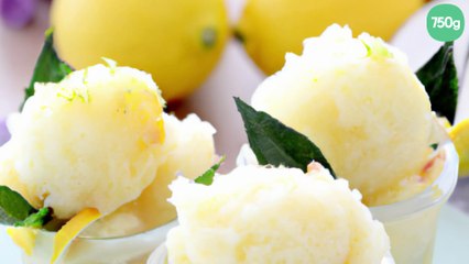 Sorbet au citron maison