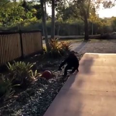 A typical Limbani morning.