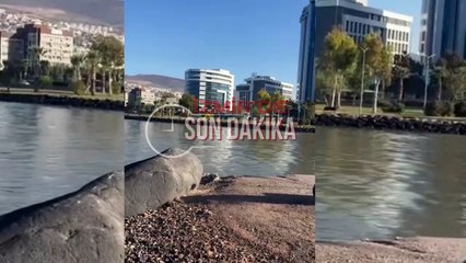 İzmir Bayraklı sahili kaderine terk edildi