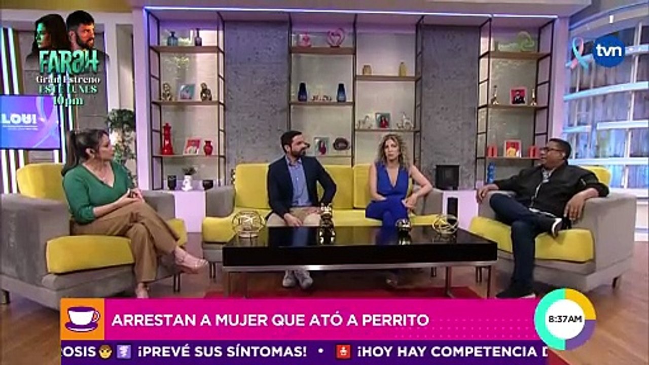 ¿Qué sanciones deben haber para el maltrato animal?
