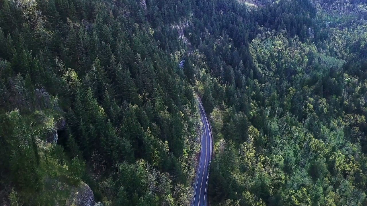 Beautiful nature video Dailymotion