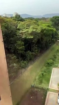 Polícia recupera R$ 1,3 milhão em remédios veterinários roubados