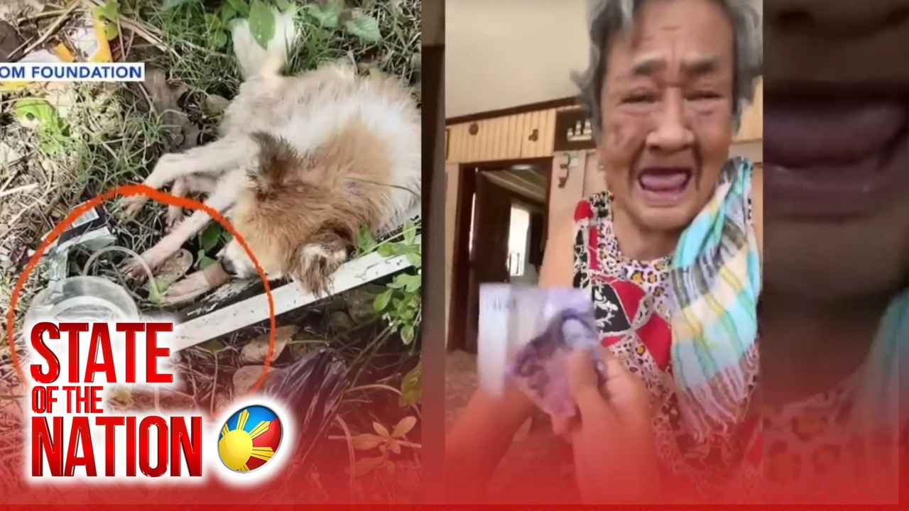 State of the Nation Part 2 & 3: Aso na itinapon sa basurahan; Pakimkim ni Lola; Atbp.