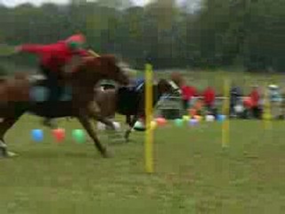 Ariosa Ballons Peter Dale