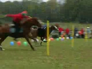 Ariosa Ballons Peter Dale