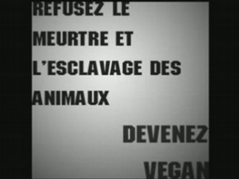 Go vegan
