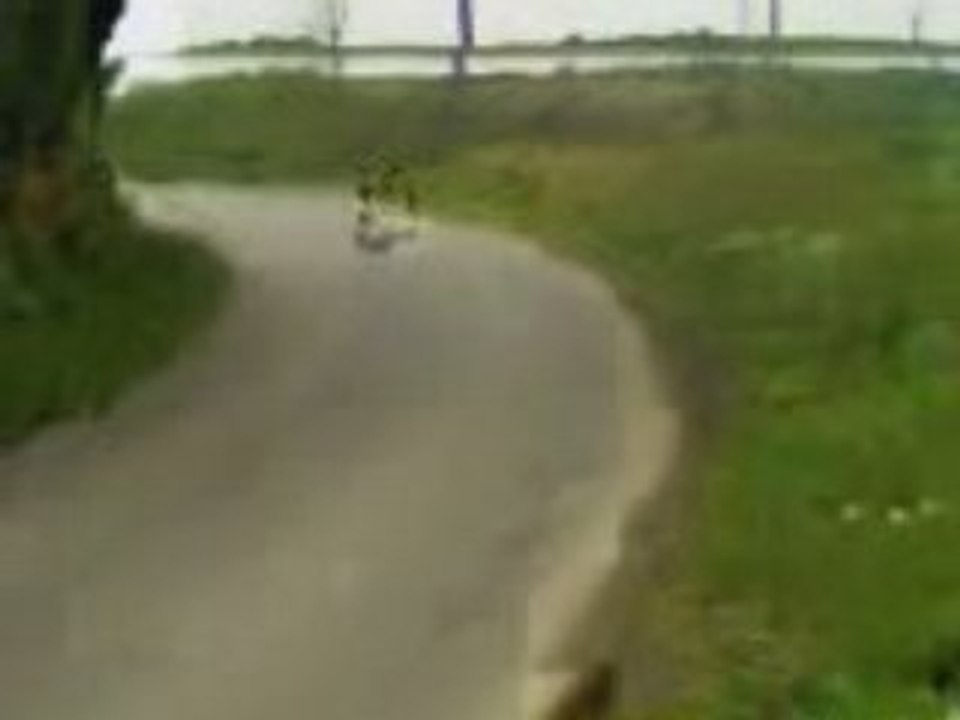MOV01725