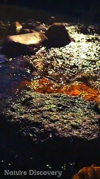 Natural Music with water flow sounds || Nature Discovery........... . . #nature #relax #relaxing #naturevibes #naturevideos #water #short #natureshots