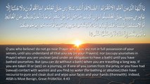Surah 4 - An-Nisa-  ENGLISH ONLY Recitation with Arabic Subtitles. Nature Backgrounds