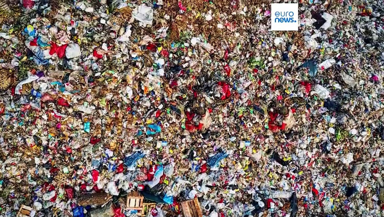 Welches europäische Land produziert die meisten Lebensmittelabfälle?